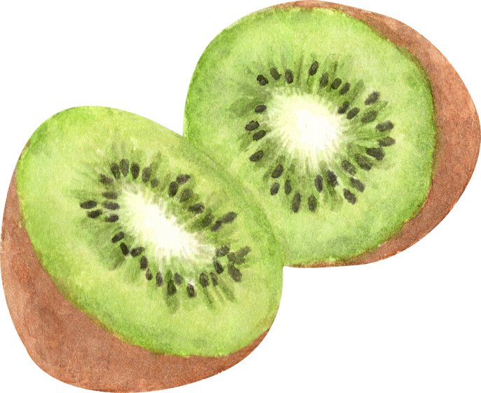 Watercolor Kiwi Fruit