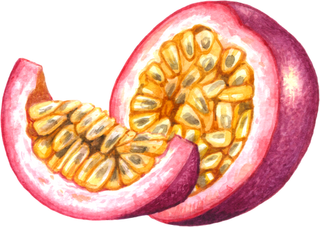 Passion fruit watercolor elements clipart